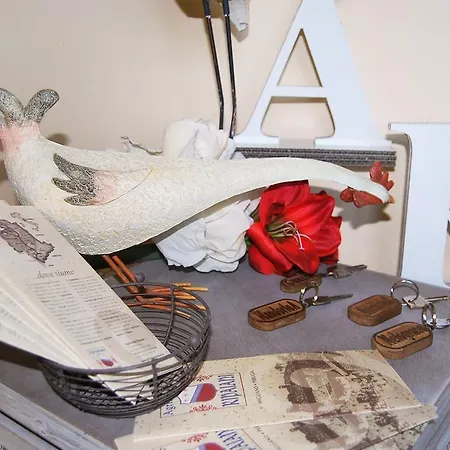 Ripaiani Vakantieboerderij *