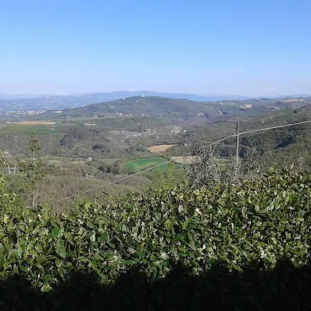 Ripaiani Marsciano
