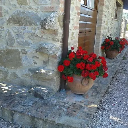 农家乐 Ripaiani *