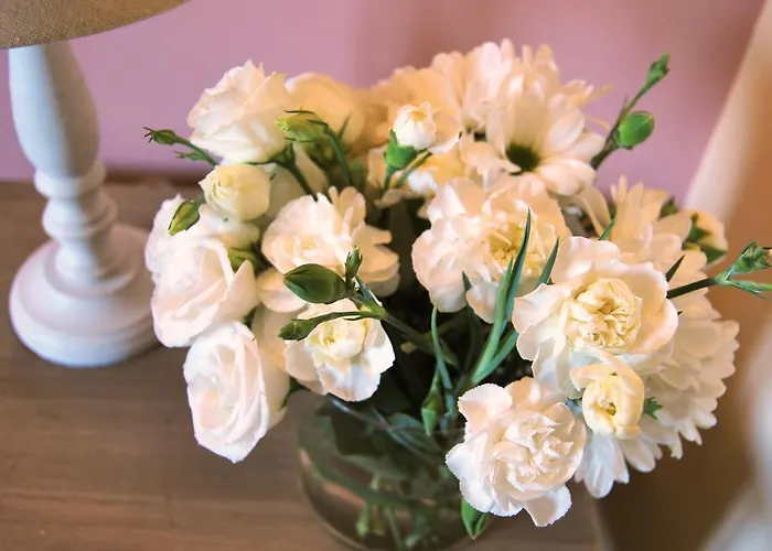 Ripaiani مارشانو