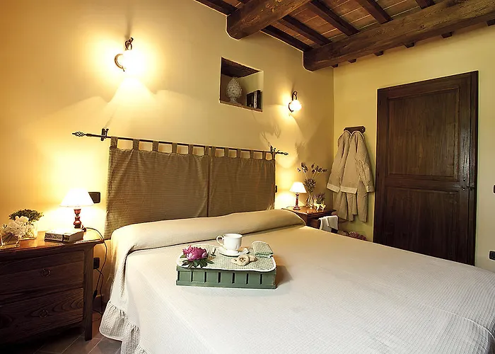 Ripaiani مارشانو